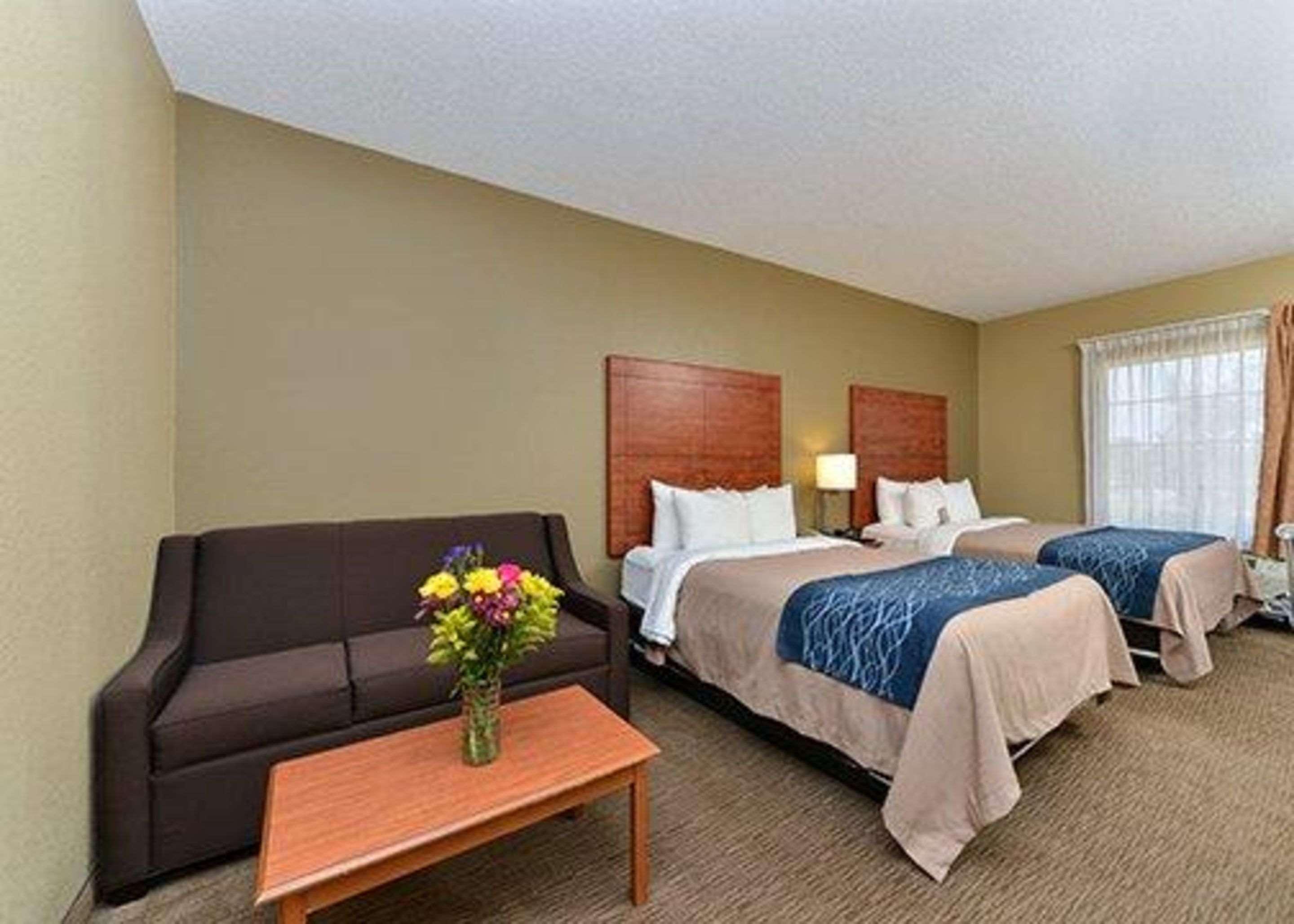 Comfort Inn & Suites El Dorado Extérieur photo